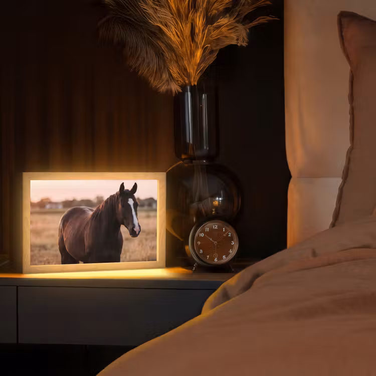 Paard - Zonsondergang - Bruin Light Box met kabel (Tafellamp) klein -sfeer1
