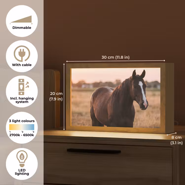 Paard - Zonsondergang - Bruin Light Box met kabel (Tafellamp) klein -USP_EN