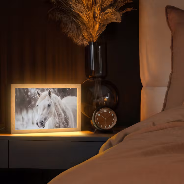 Paard - Wit - Winter - Natuur - Sneeuw - Dieren Light Box met kabel (Tafellamp) klein -sfeer1