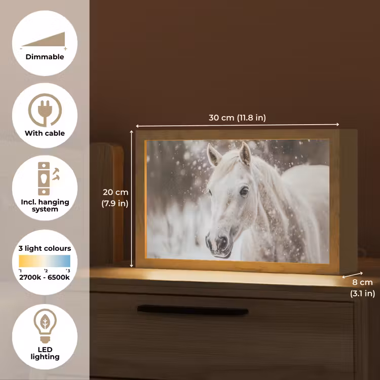 Paard - Wit - Winter - Natuur - Sneeuw - Dieren Light Box met kabel (Tafellamp) klein -USP_EN