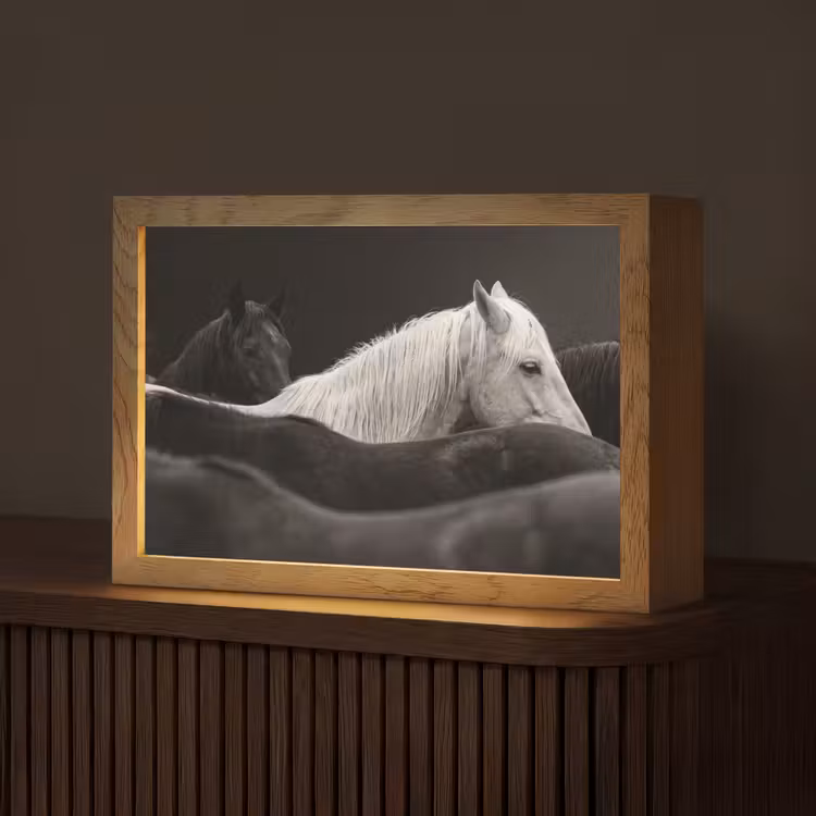 Paarden - Zwart - Wit - Kudde Light Box met kabel (Tafellamp) klein -z3d_website