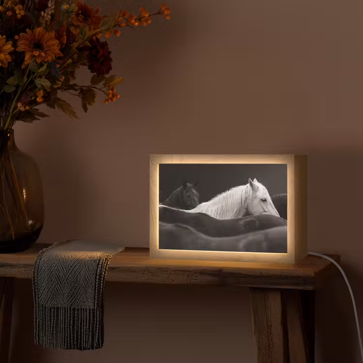 Paarden - Zwart - Wit - Kudde Light Box met kabel (Tafellamp) klein -sfeer4