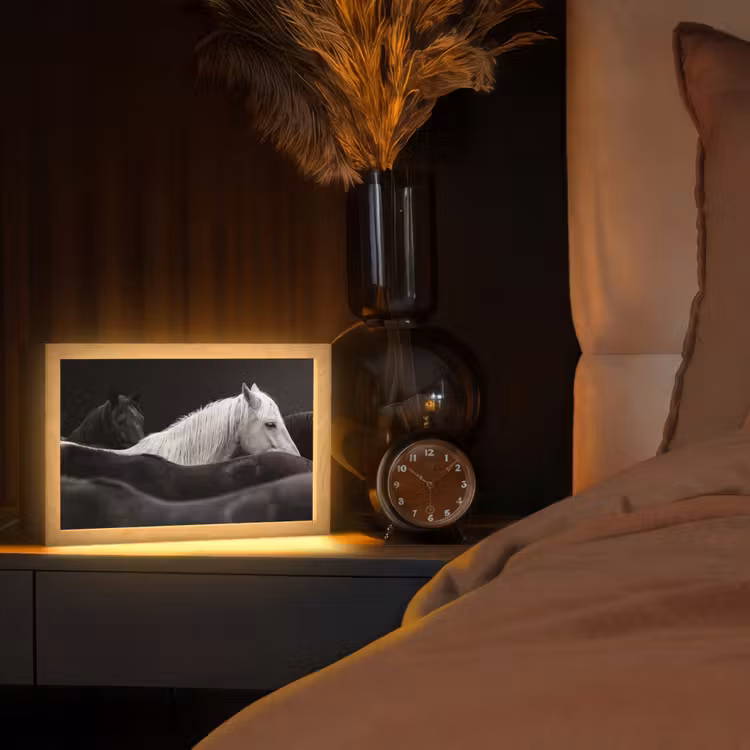 Paarden - Zwart - Wit - Kudde Light Box met kabel (Tafellamp) klein -sfeer1