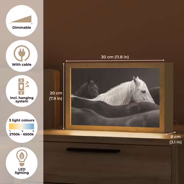 Paarden - Zwart - Wit - Kudde Light Box met kabel (Tafellamp) klein -USP_EN