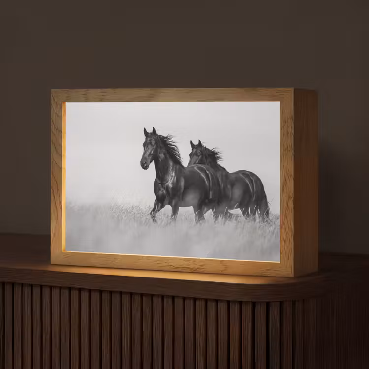 Paarden - Gras - Zwart - Wit Light Box met kabel (Tafellamp) klein -z3d_website