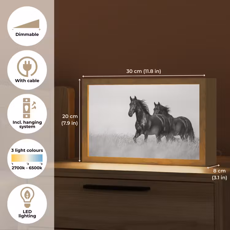 Paarden - Gras - Zwart - Wit Light Box met kabel (Tafellamp) klein -USP_EN