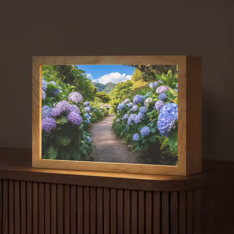 Hortsensia - Pad - Bloemen Light Box met kabel (Tafellamp) klein -z3d_website