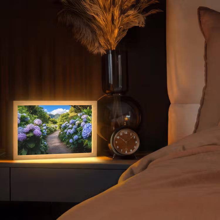 Hortsensia - Pad - Bloemen Light Box met kabel (Tafellamp) klein -sfeer1