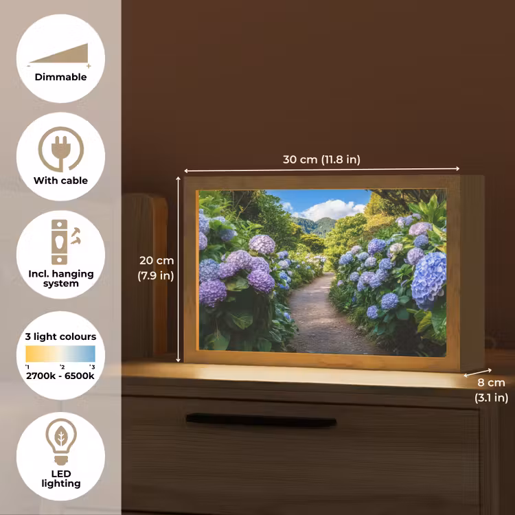 Hortsensia - Pad - Bloemen Light Box met kabel (Tafellamp) klein -USP_EN
