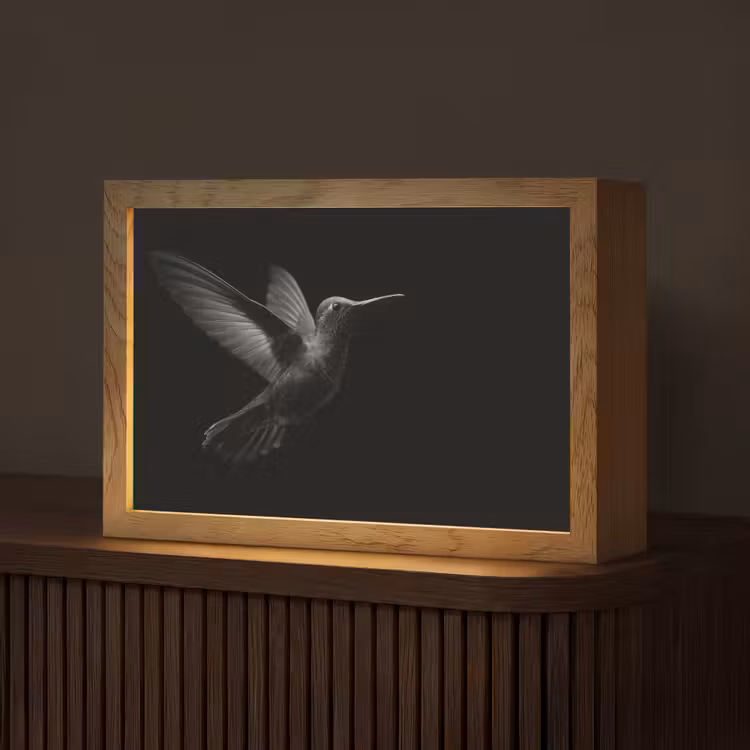 Kolibrie - Zwart - Dieren Light Box met kabel (Tafellamp) klein -z3d_website