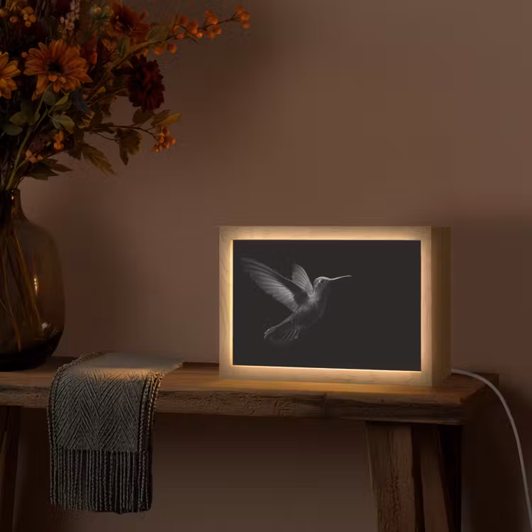 Kolibrie - Zwart - Dieren Light Box met kabel (Tafellamp) klein -sfeer4