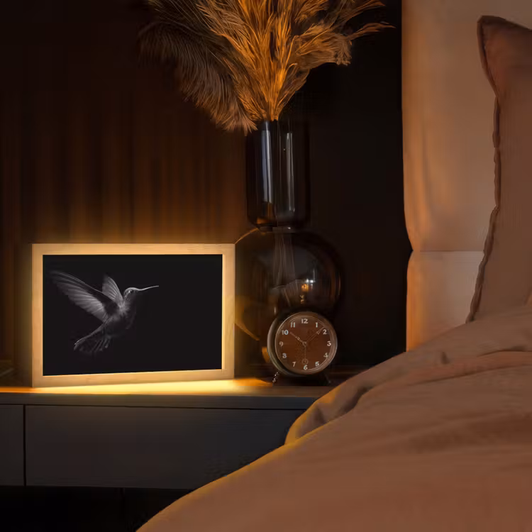 Kolibrie - Zwart - Dieren Light Box met kabel (Tafellamp) klein -sfeer1