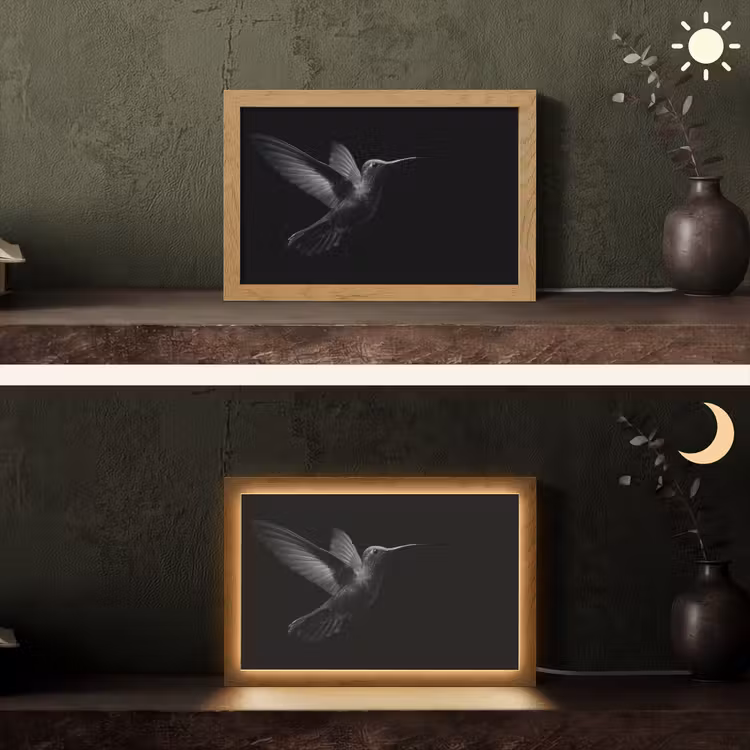 Kolibrie - Zwart - Dieren Light Box met kabel (Tafellamp) klein -sfeer3