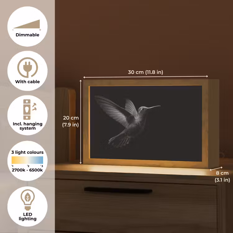 Kolibrie - Zwart - Dieren Light Box met kabel (Tafellamp) klein -USP_EN