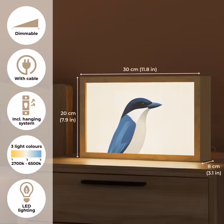 Illustratie - Blauw - Vogel Light Box met kabel (Tafellamp) klein -USP_EN