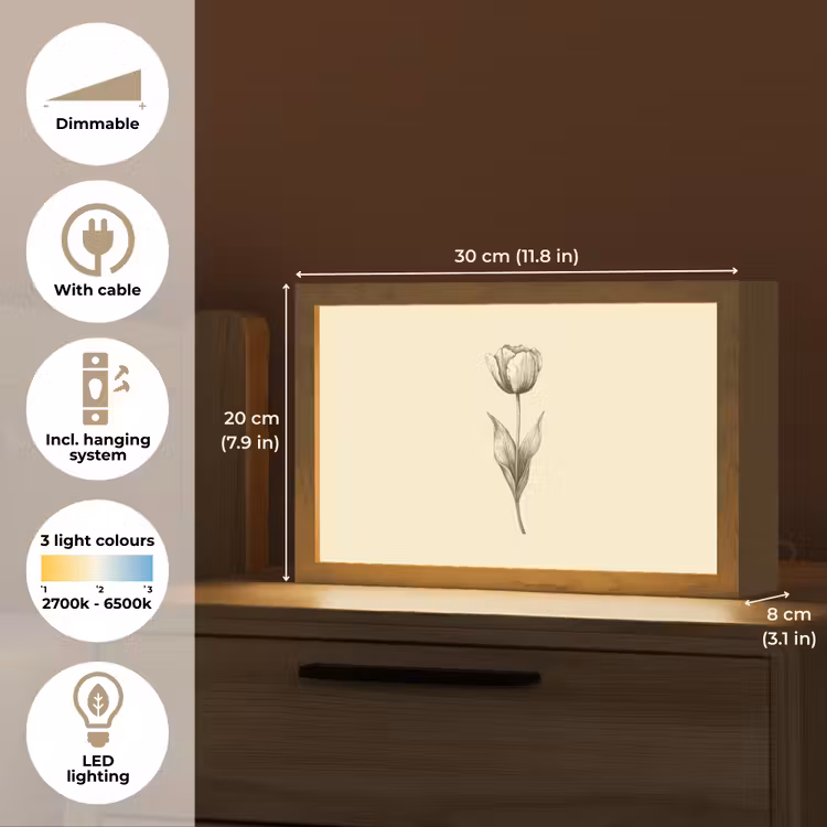 Illustratie - Tulp - Zwart Light Box met kabel (Tafellamp) klein -USP_EN
