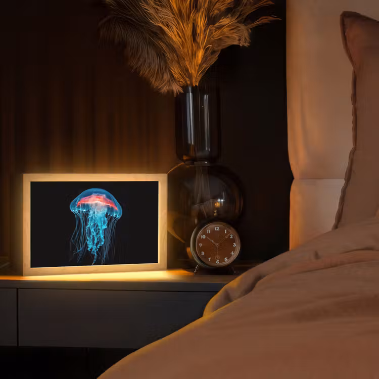 Kwal - Tentakels - Blauw - Licht Light Box met kabel (Tafellamp) klein -sfeer1