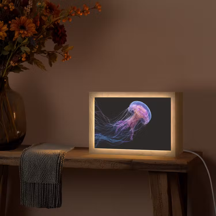 Kwal - Doorzichtig - Roze - Tentakels Light Box met kabel (Tafellamp) klein -sfeer4