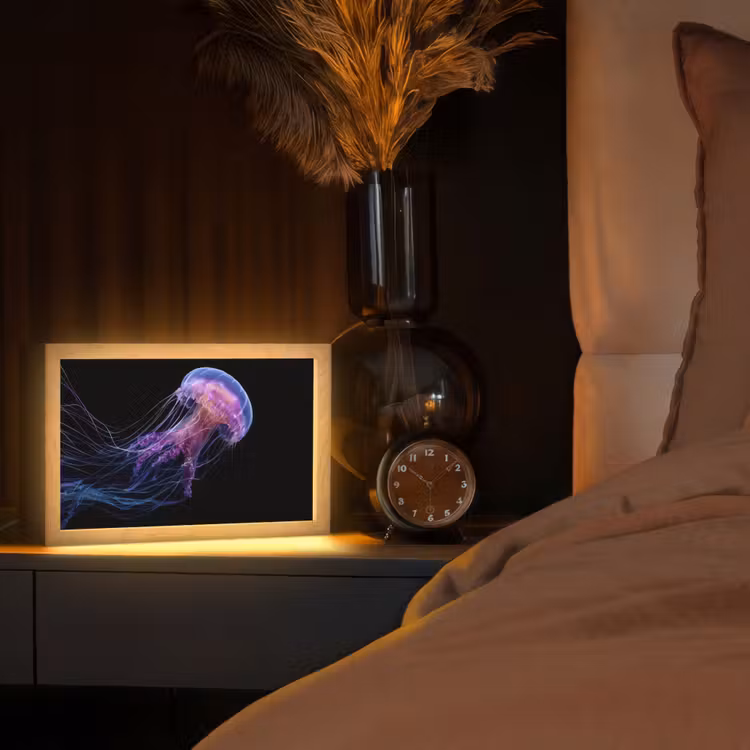 Kwal - Doorzichtig - Roze - Tentakels Light Box met kabel (Tafellamp) klein -sfeer1