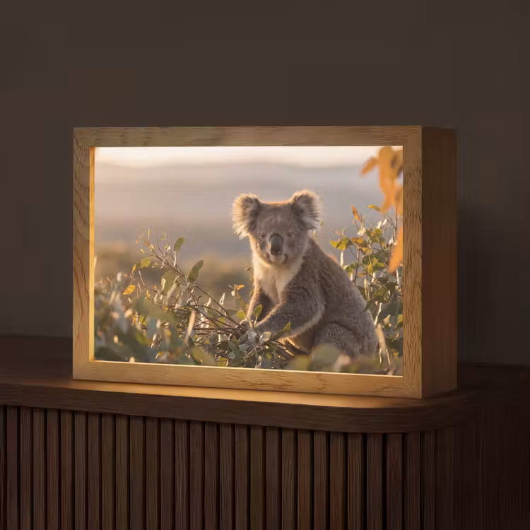 Koala - Bladeren - Ochtendlicht Light Box met kabel (Tafellamp) klein -z3d_website