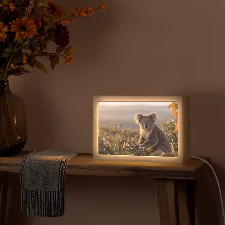 Koala - Bladeren - Ochtendlicht Light Box met kabel (Tafellamp) klein -sfeer4