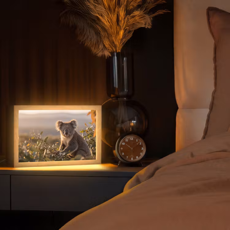Koala - Bladeren - Ochtendlicht Light Box met kabel (Tafellamp) klein -sfeer1