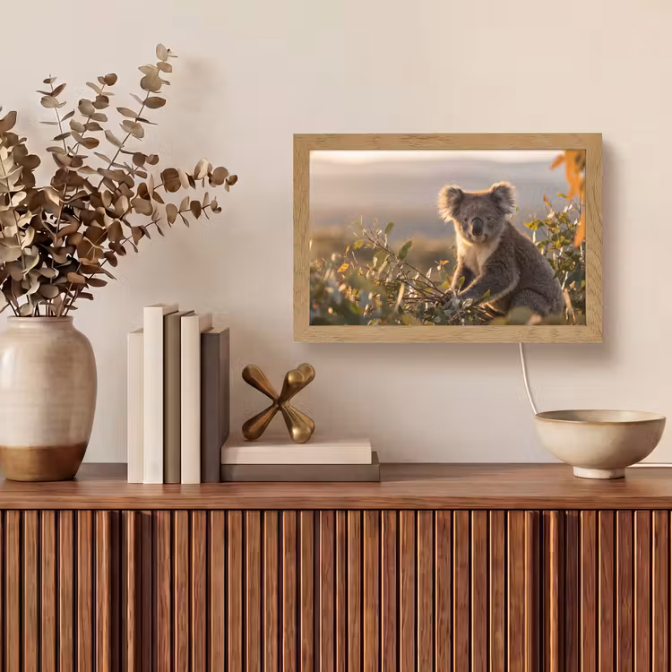 Koala - Bladeren - Ochtendlicht Light Box met kabel (Tafellamp) klein -sfeer2