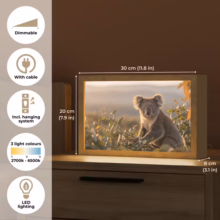 Koala - Bladeren - Ochtendlicht Light Box met kabel (Tafellamp) klein -USP_EN