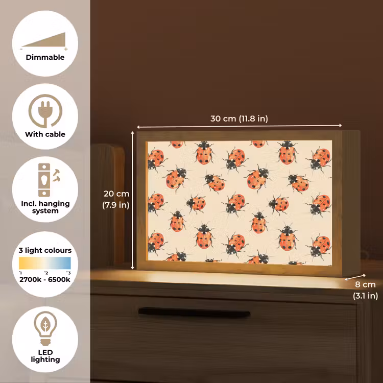 Lieveheersbeestjes - Patroon - Rood Light Box met kabel (Tafellamp) klein 924 -USP_EN