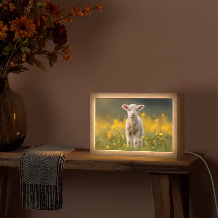 Lammetje - Gras - Bloemen - Geel Light Box met kabel (Tafellamp) klein -sfeer4