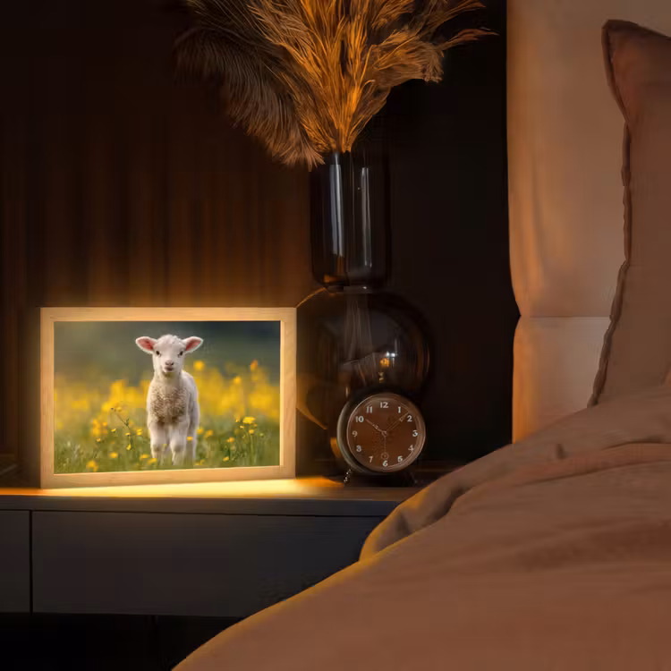 Lammetje - Gras - Bloemen - Geel Light Box met kabel (Tafellamp) klein -sfeer1