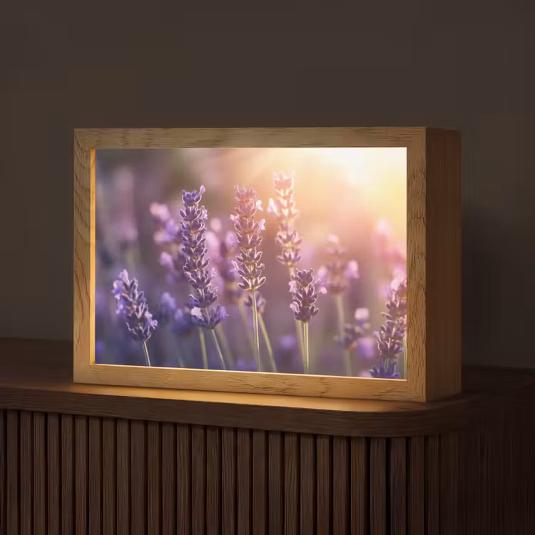 Lavendelbloemen - Paars - Zonlicht Light Box met kabel (Tafellamp) klein -z3d_website