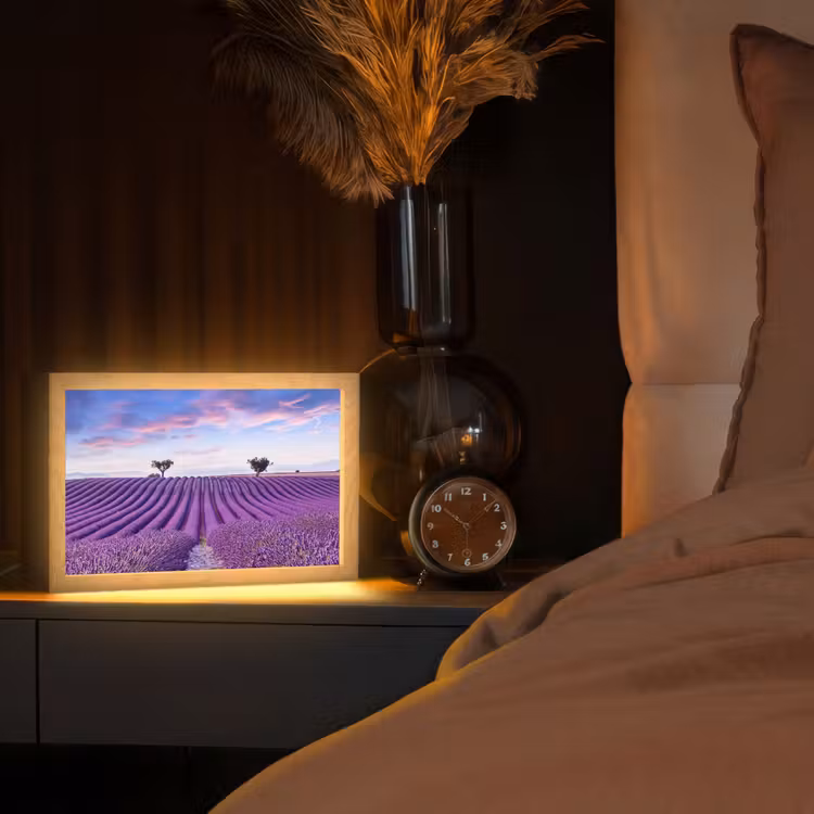 Lavendel - Natuur - Paars - Bomen - Bloemen Light Box met kabel (Tafellamp) klein -sfeer1