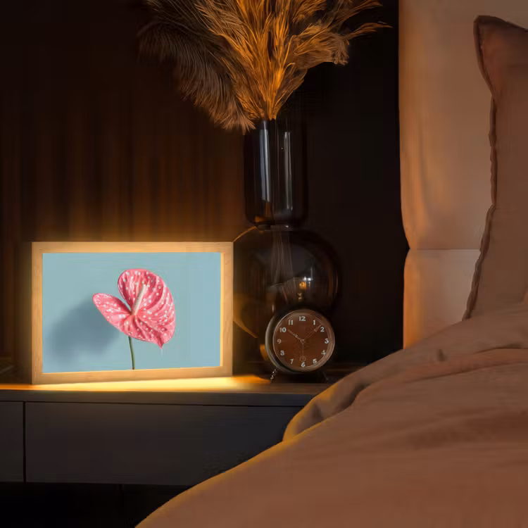 Blad - Anthurium - Stippen - Roze Light Box met kabel (Tafellamp) klein -sfeer1