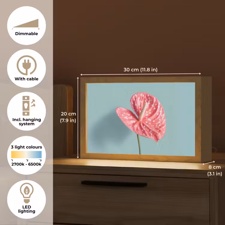 Blad - Anthurium - Stippen - Roze Light Box met kabel (Tafellamp) klein -USP_EN
