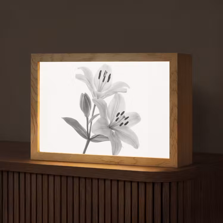 Lelies - Elegant - Zwart - Wit Light Box met kabel (Tafellamp) klein -z3d_website
