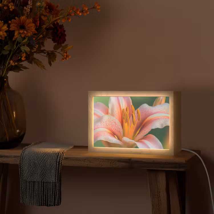 Lelie - Close up - Lichtroze Light Box met kabel (Tafellamp) klein -sfeer4