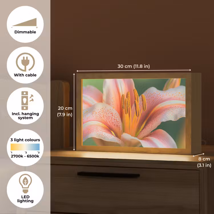 Lelie - Close up - Lichtroze Light Box met kabel (Tafellamp) klein -USP_EN
