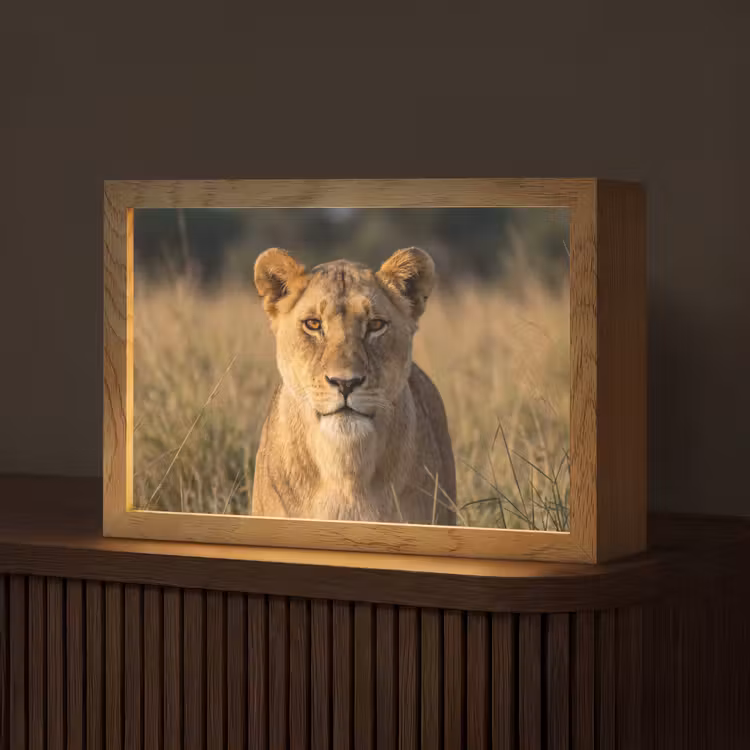 Leeuwin - Gras - Geel Light Box met kabel (Tafellamp) klein -z3d_website