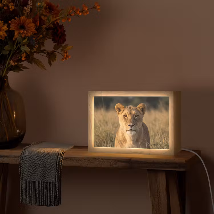Leeuwin - Gras - Geel Light Box met kabel (Tafellamp) klein -sfeer4