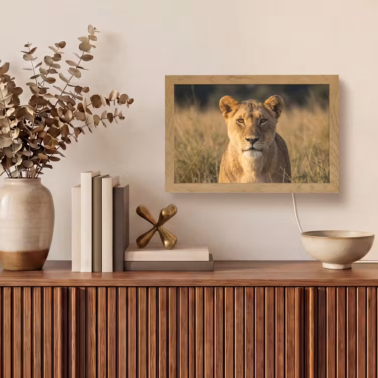 Leeuwin - Gras - Geel Light Box met kabel (Tafellamp) klein -sfeer2