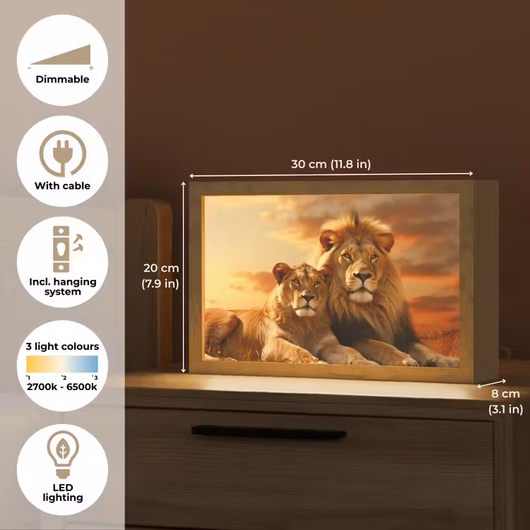 Leeuwen - Zonsondergang - Afrika - Savanne - Dieren Light Box met kabel (Tafellamp) klein -USP_EN