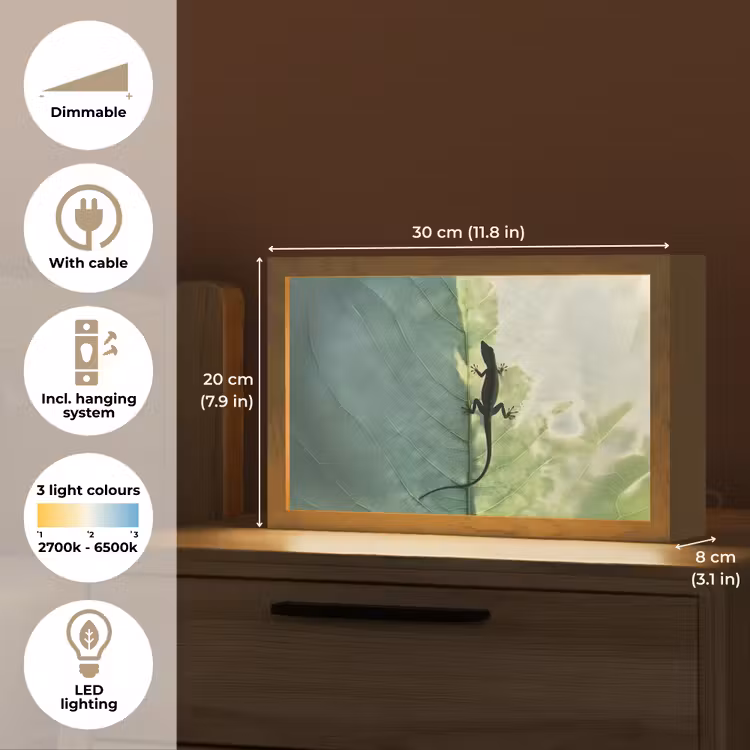 Hagedis - Blad - Nerven - Groen Light Box met kabel (Tafellamp) klein -USP_EN