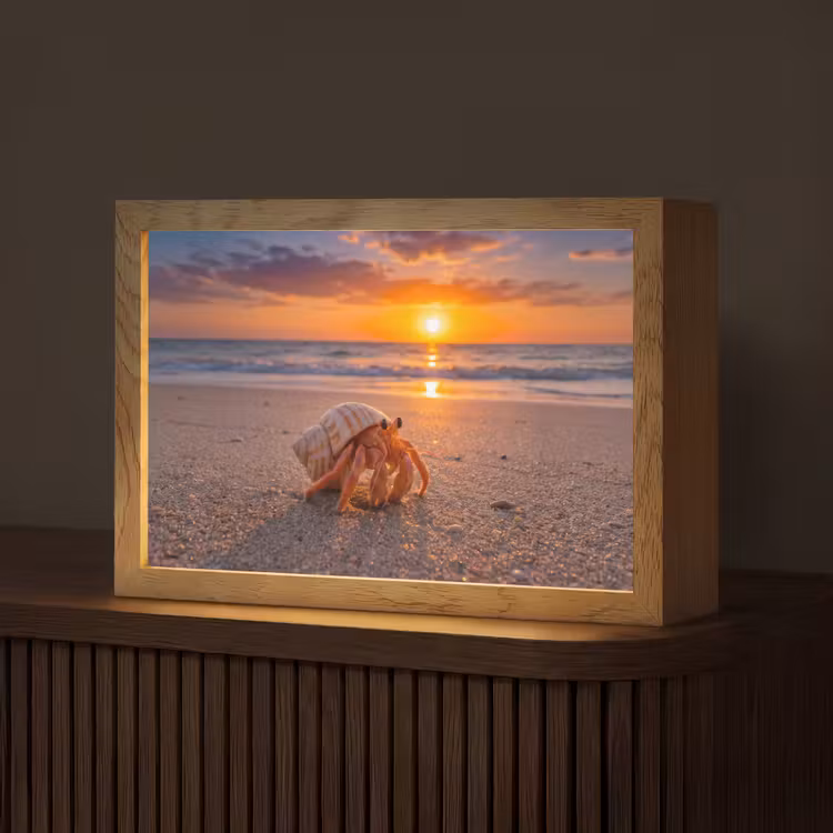 Kreeft - Strand - Natuur - Zonsondergang - Oranje Light Box met kabel (Tafellamp) klein -z3d_website