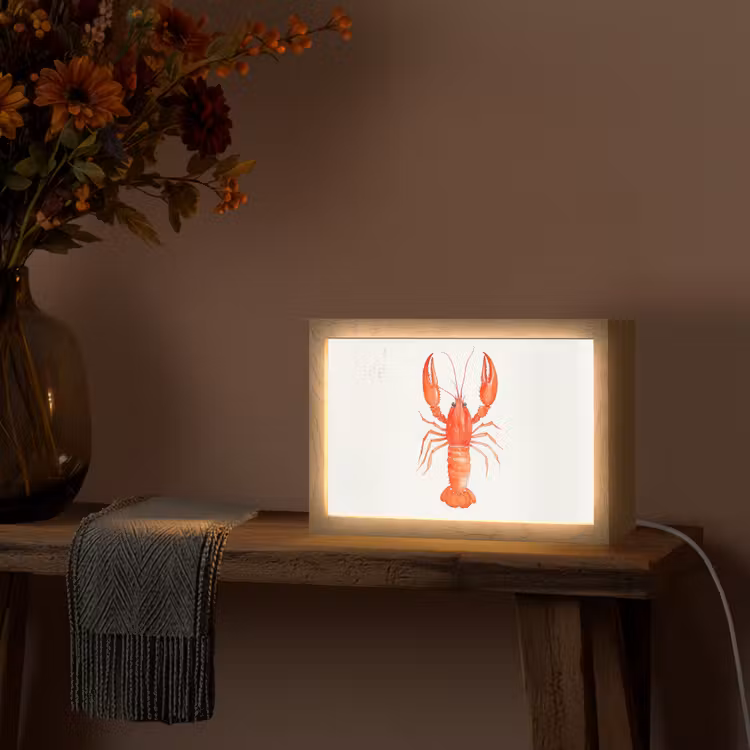 Kreeft - Waterverf - Aquarel - Oranje Light Box met kabel (Tafellamp) klein -sfeer4
