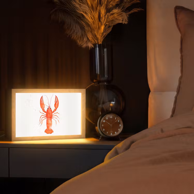 Kreeft - Waterverf - Aquarel - Oranje Light Box met kabel (Tafellamp) klein -sfeer1