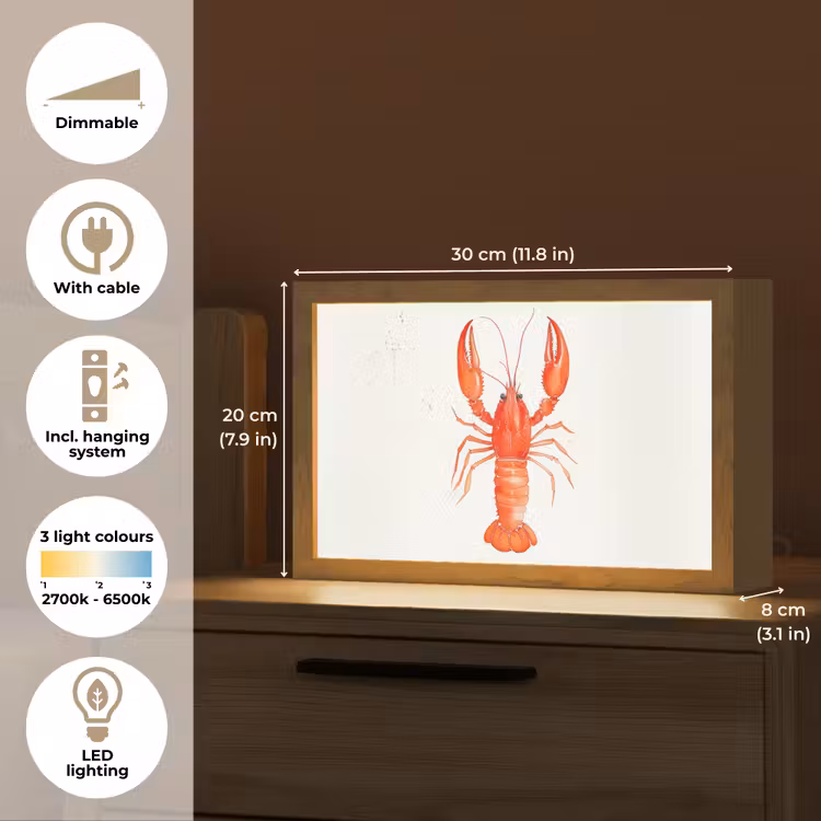 Kreeft - Waterverf - Aquarel - Oranje Light Box met kabel (Tafellamp) klein -USP_EN