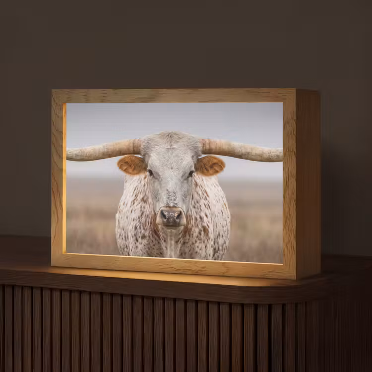 Longhorn - Grasveld - Dier Light Box met kabel (Tafellamp) klein -z3d_website