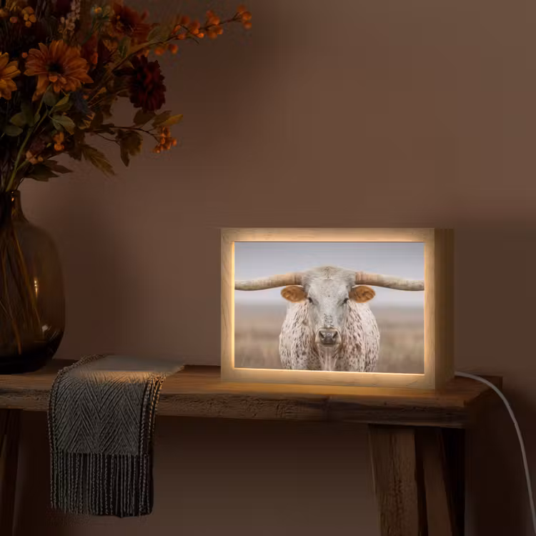 Longhorn - Grasveld - Dier Light Box met kabel (Tafellamp) klein -sfeer4
