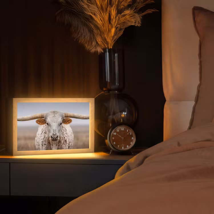 Longhorn - Grasveld - Dier Light Box met kabel (Tafellamp) klein -sfeer1